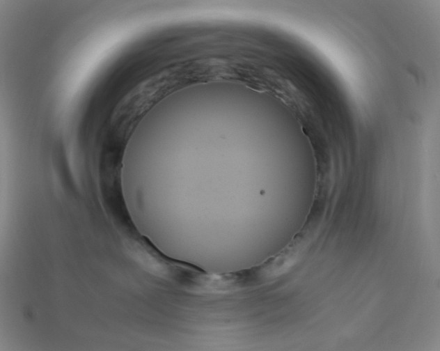X0000115210239200911121910
