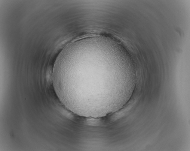 X0000115210240200911121910