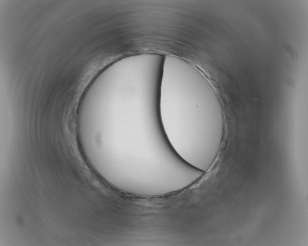 X0000115210241200911121910