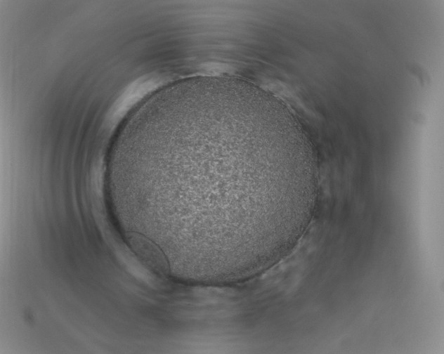 X0000115210242200911121910