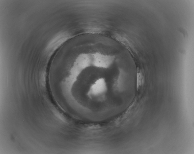 X0000115210243200911121910