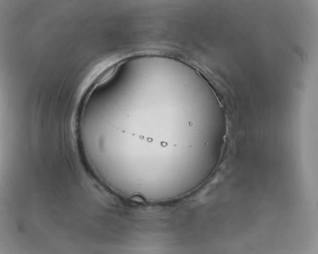 X0000115210244200911121910