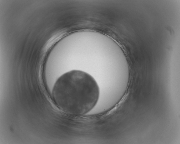 X0000115210245200911121910