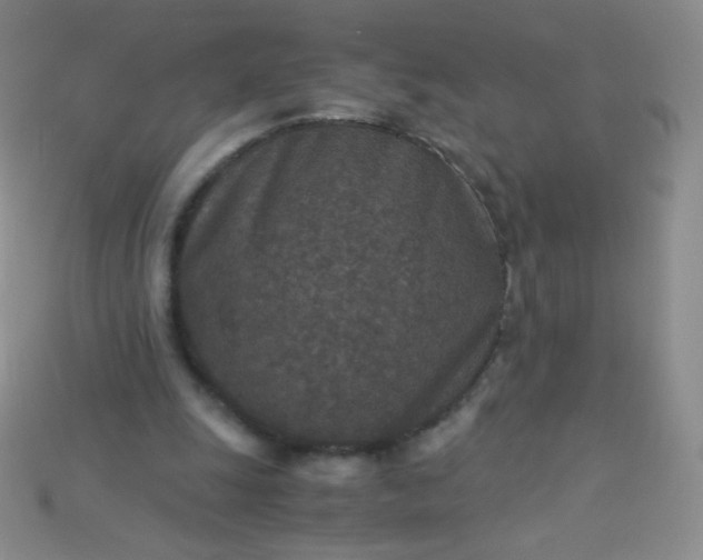 X0000115210247200911121910