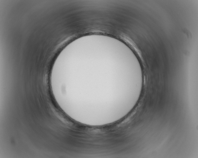 X0000115210249200911121910