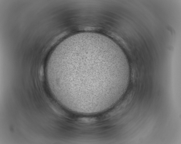 X0000115210251200911121910