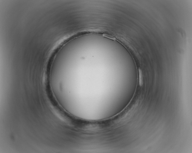 X0000115210252200911121910