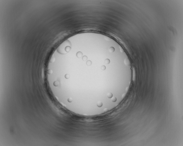 X0000115210253200911121910