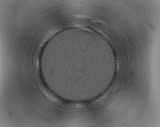 X0000115210254200911121910