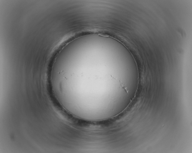 X0000115210256200911121910