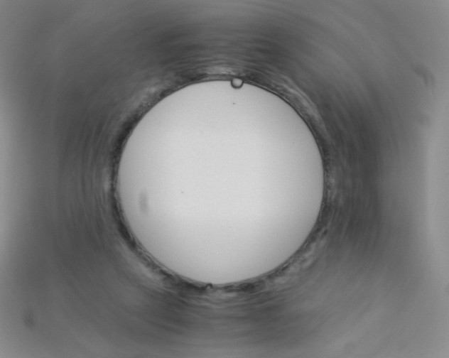 X0000115210257200911121910