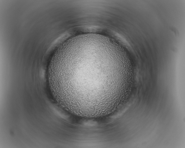 X0000115210258200911121910