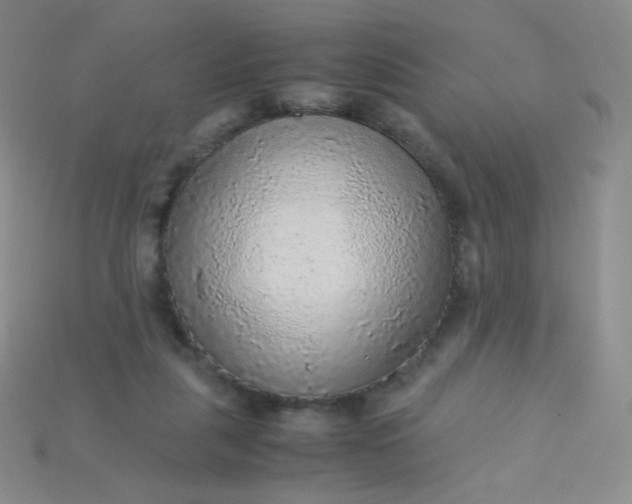 X0000115210259200911121910