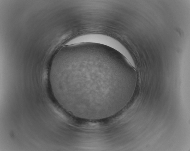 X0000115210260200911121910