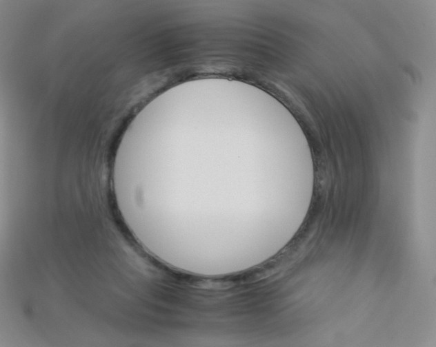 X0000115210261200911121910