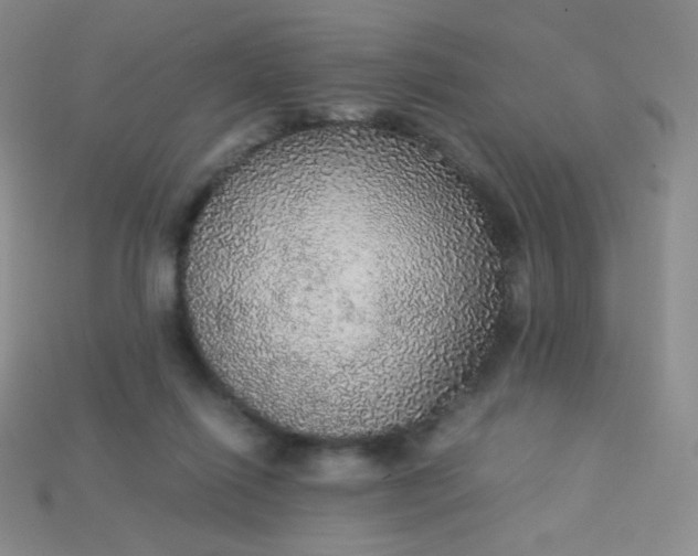 X0000115210262200911121910
