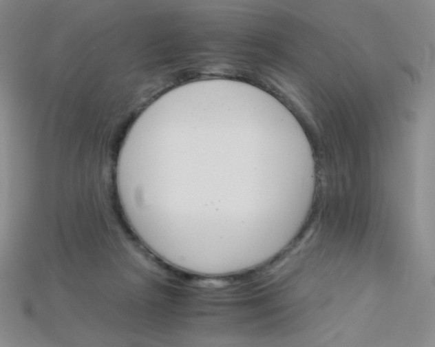 X0000115210265200911121910
