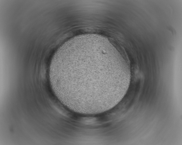X0000115210266200911121910