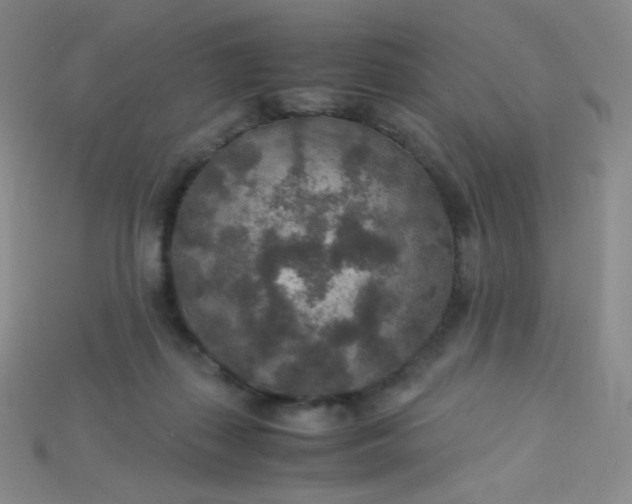 X0000115210267200911121910