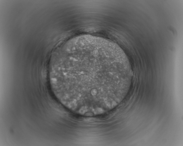 X0000115210268200911121910