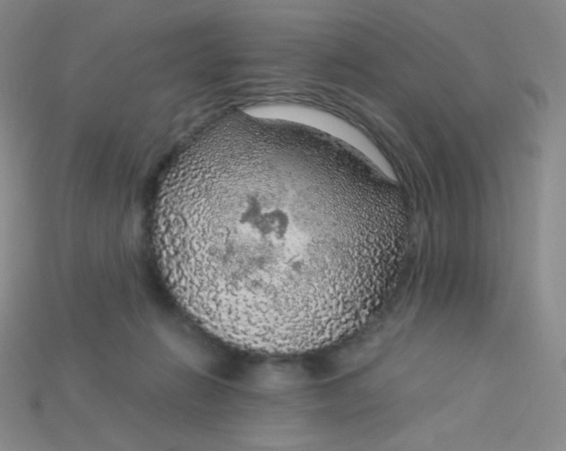 X0000115210270200911121910