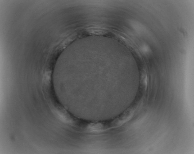 X0000115210271200911121910
