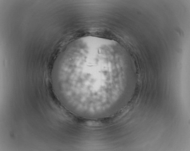 X0000115210272200911121910