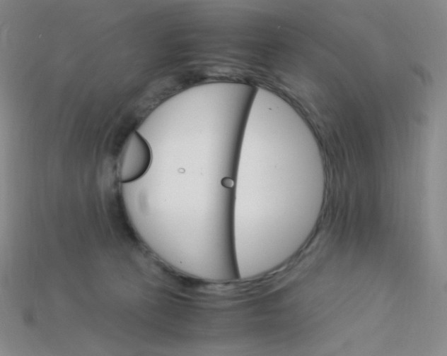 X0000115210273200911121910