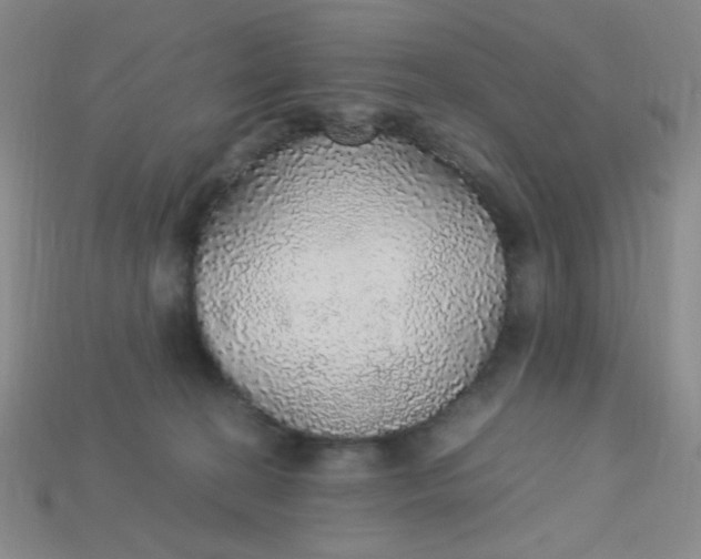 X0000115210274200911121910
