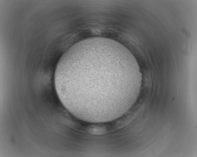 X0000115210275200911121910