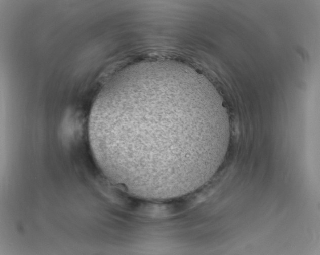 X0000115210276200911121910