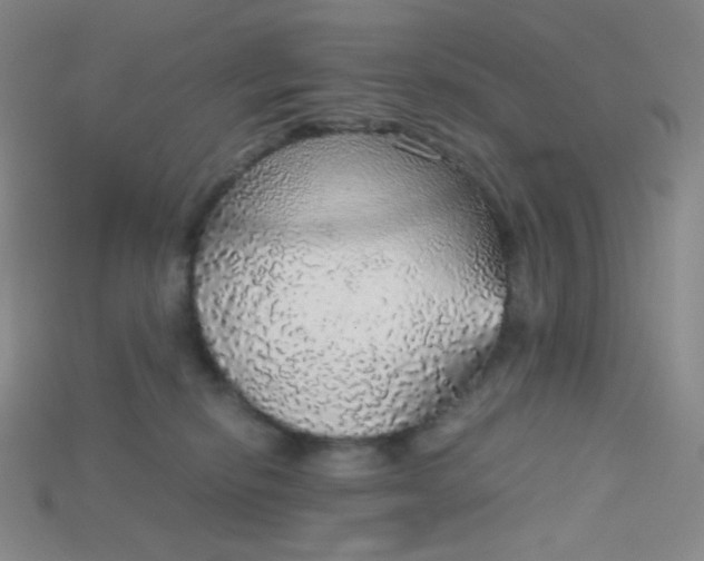 X0000115210278200911121910