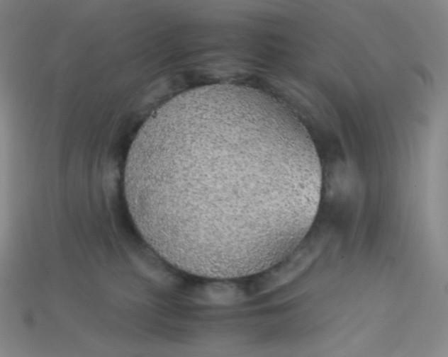 X0000115210279200911121910