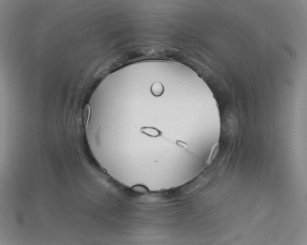 X0000115210280200911121910