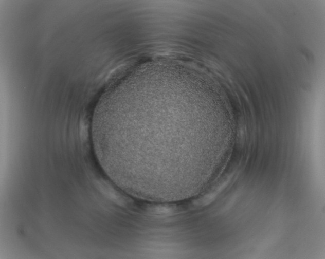 X0000115210282200911121910