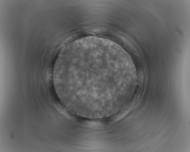 X0000115210284200911121910