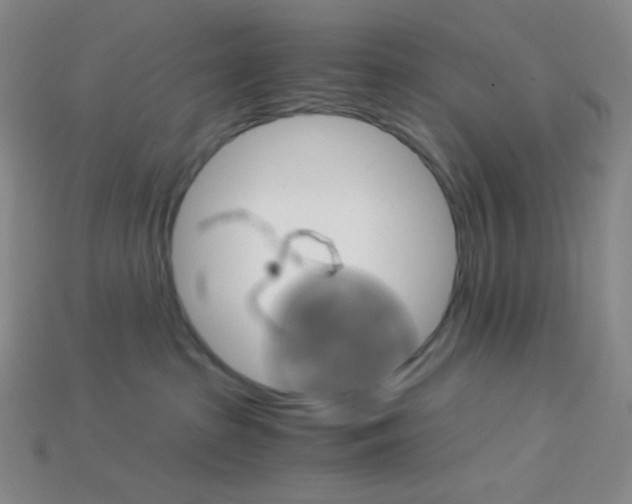 X0000115210285200911121910