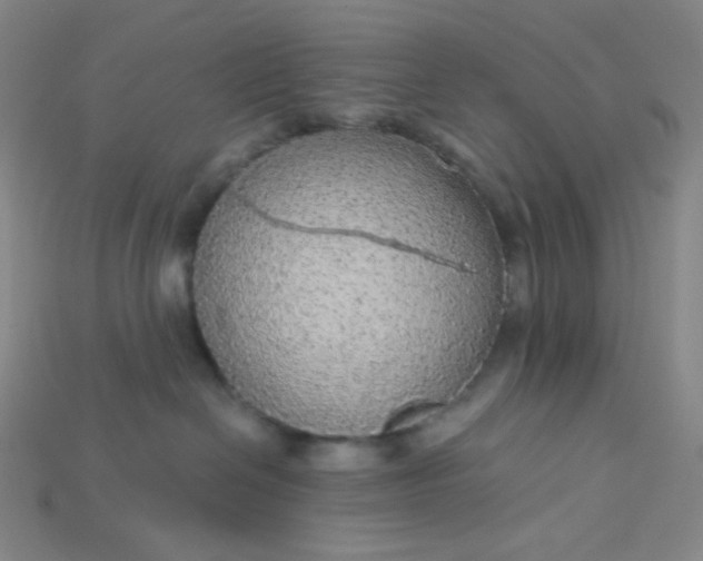 X0000115210286200911121910