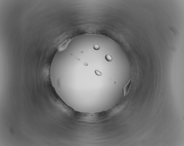 X0000115210288200911121910