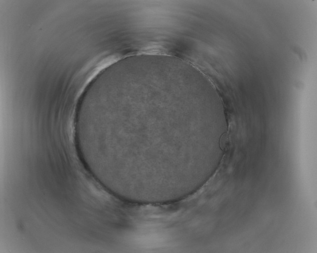 X0000115210290200911121910