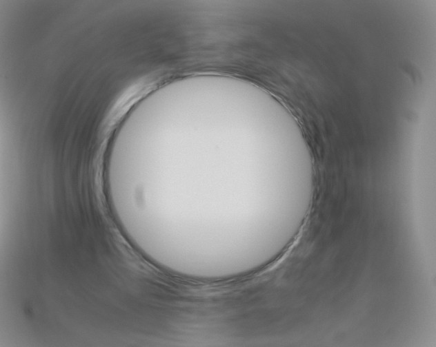 X0000115210293200911121910