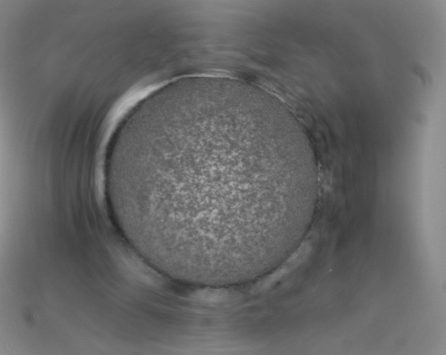 X0000115210294200911121910