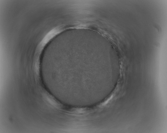 X0000115210295200911121910
