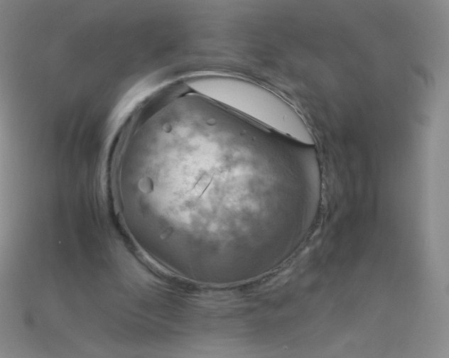 X0000115210296200911121910