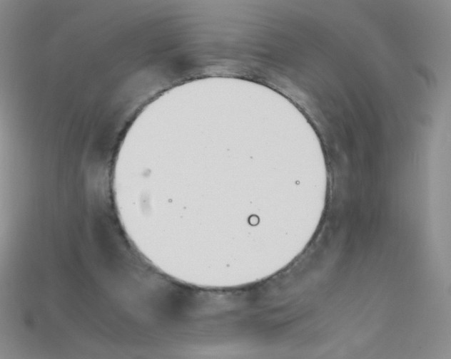 X0000115210297200911121910