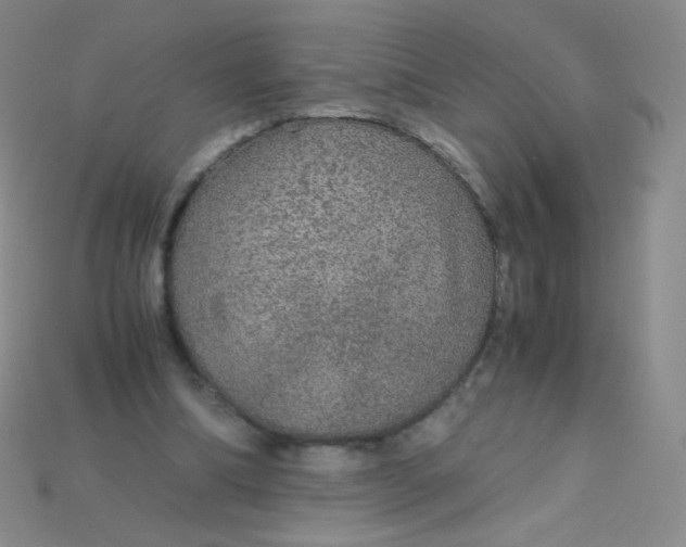 X0000115210298200911121910