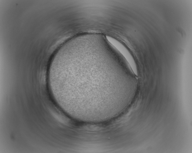 X0000115210299200911121910