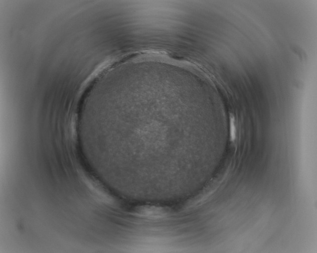 X0000115210300200911121910