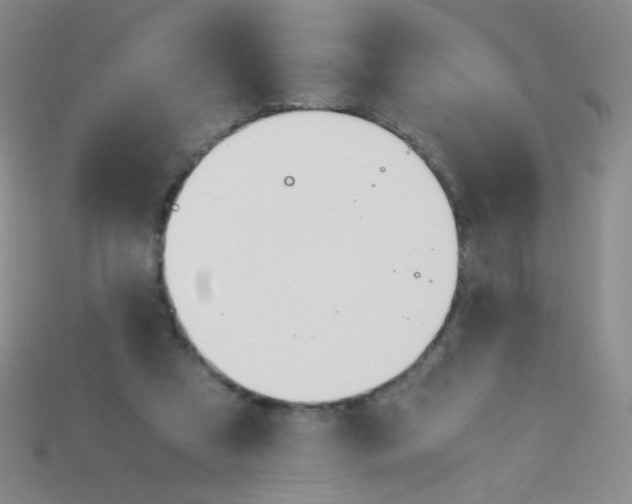X0000115210305200911121910