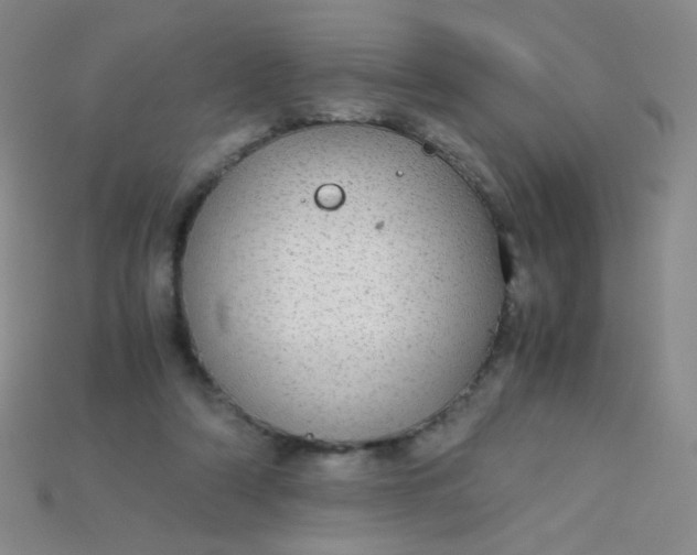 X0000115210306200911121910